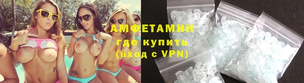амф Дмитриев