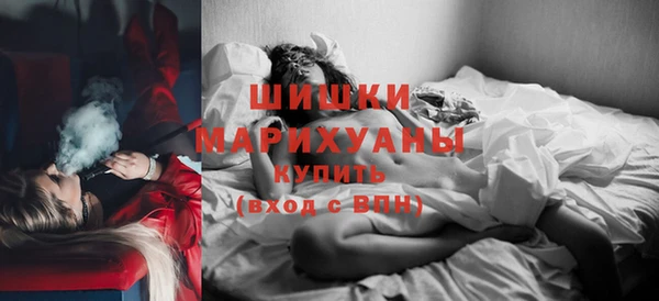 амф Дмитриев