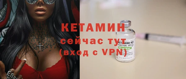 амф Дмитриев