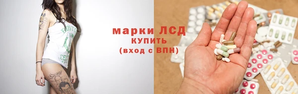 амф Дмитриев