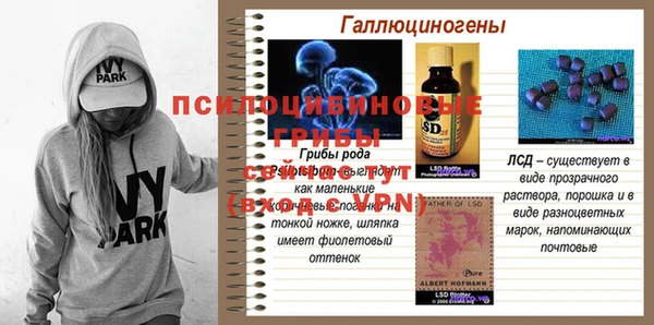СК Елабуга