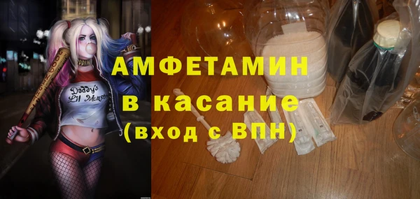 амф Дмитриев