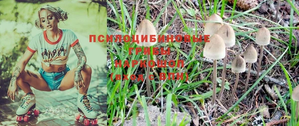 амф Дмитриев