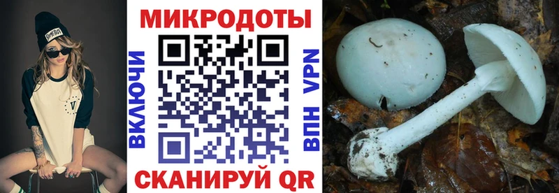 где купить наркотик  Назарово  Псилоцибиновые грибы Cubensis 