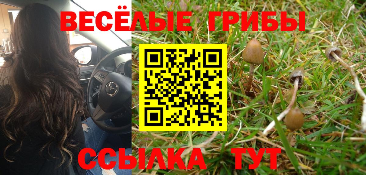 Галлюциногенные грибы Cubensis Назарово