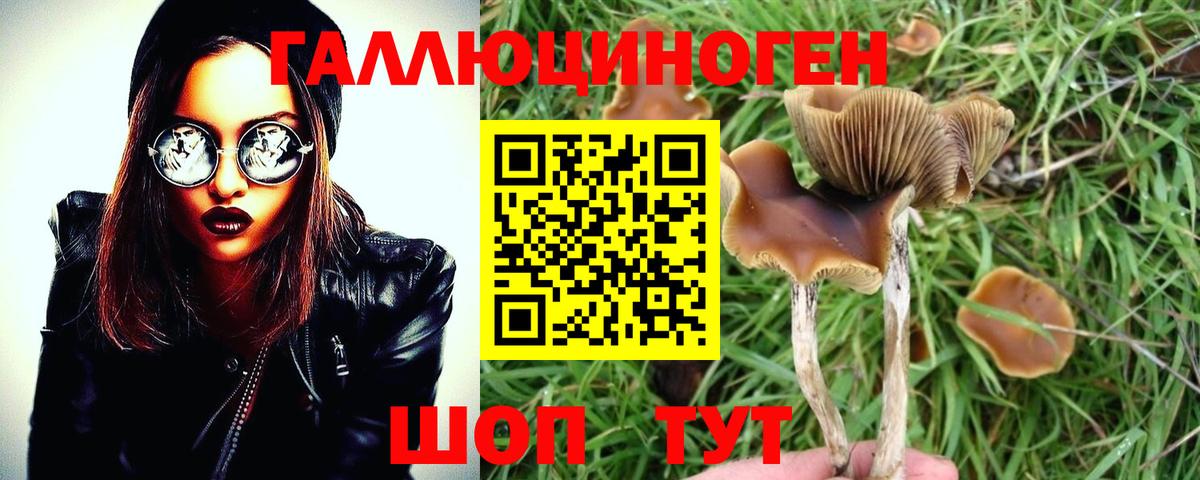 Псилоцибиновые грибы мицелий Назарово